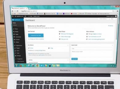 wordpress content management system
