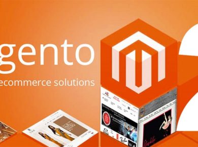 magento 2 websites