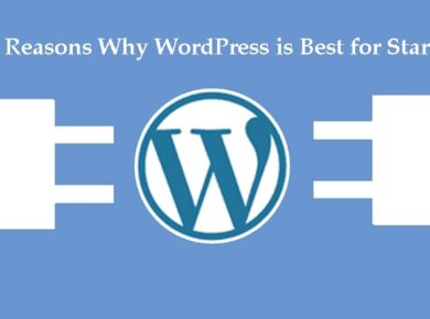 WordPress-for-start-up
