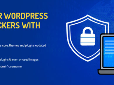protect wordpress website