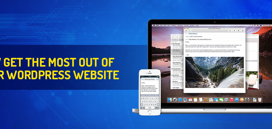 wordpress website developer