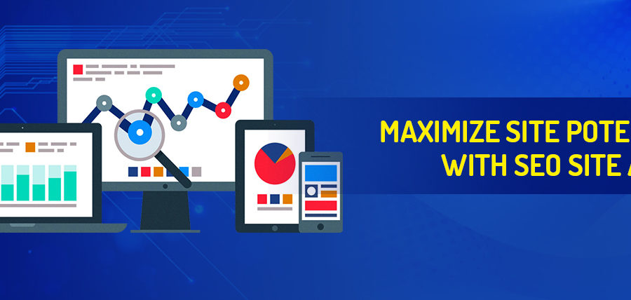 free seo website audit